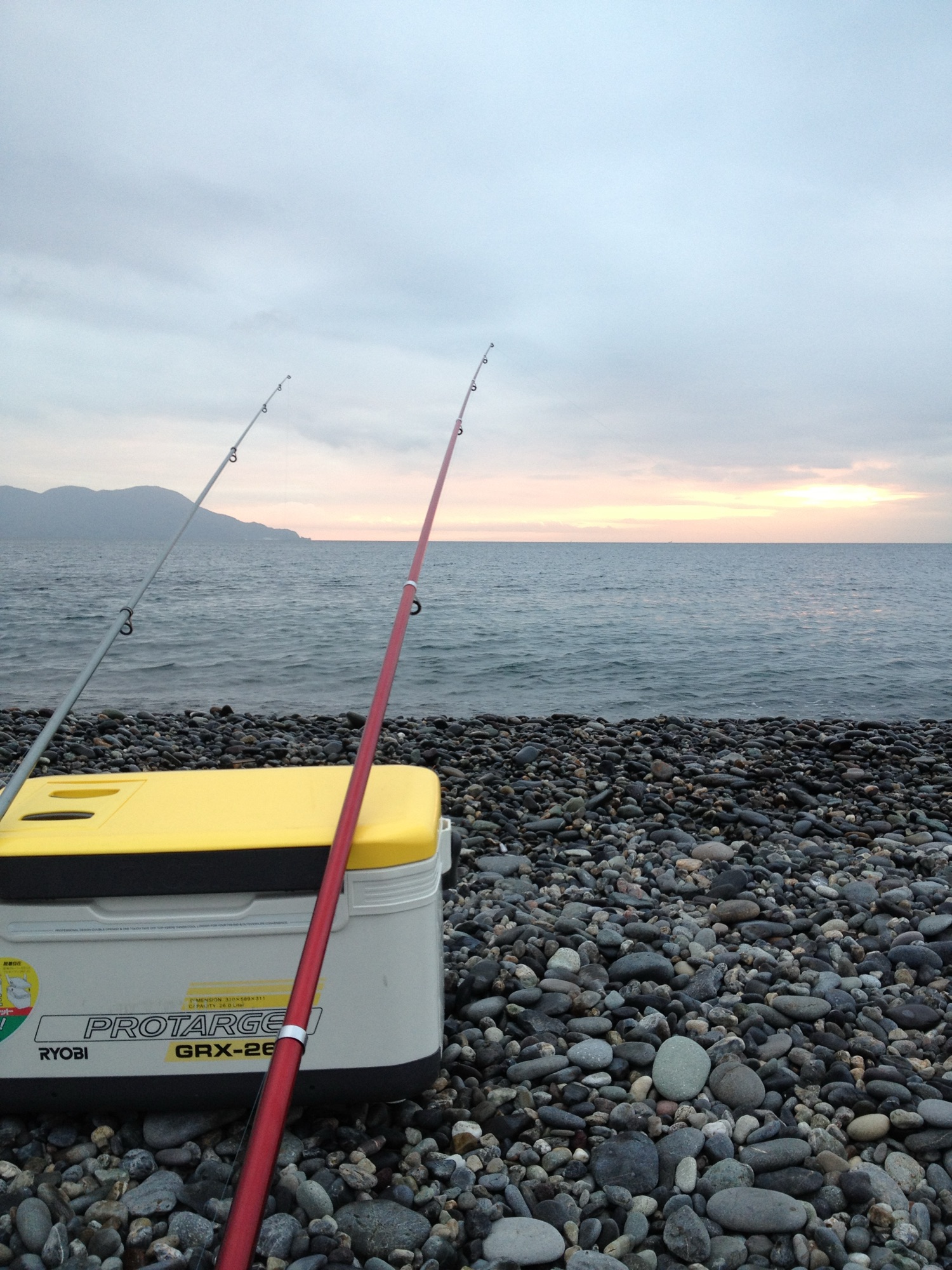 これから始める海釣り入門